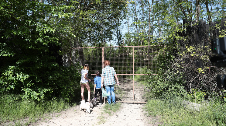 Az eltűnt villanyszerelőt, Mácsik Zoltánt a rokonai és barátai keresték a gyilkosság helyszínén, de mindhiába / Fotó: Isza Ferenc/Blikk