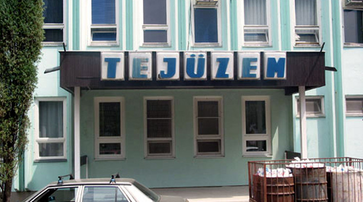 tejüzem