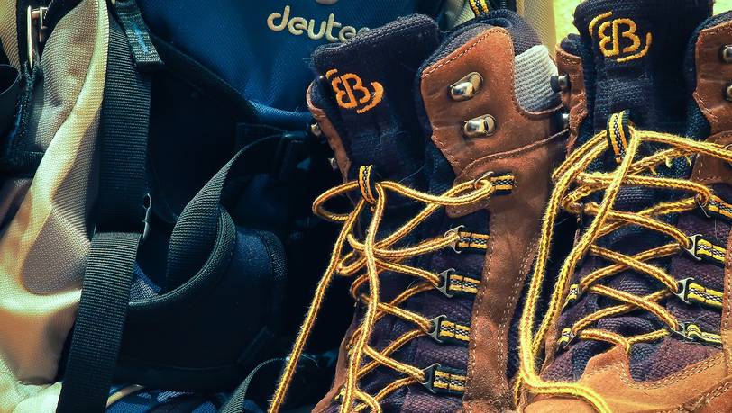 Beliebte Rucksäcke von Deuter im Vergleich: Hoher Komfort für Alltag & Wandern