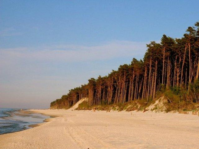 Galeria Polskie plaże dla naturystów, obrazek 7