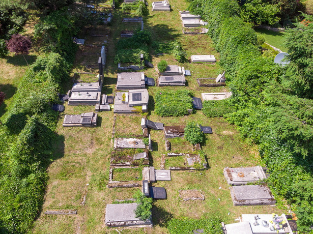 Zniszczenia na cmentarzu żydowskim w Bielsku-Białej