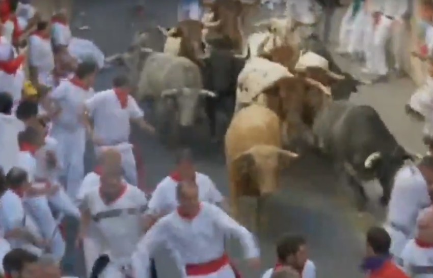 "San Fermin", trka s bikovima 