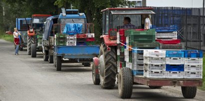 Ministerstwo rolnictwa będzie ustalać ceny owoców i warzyw