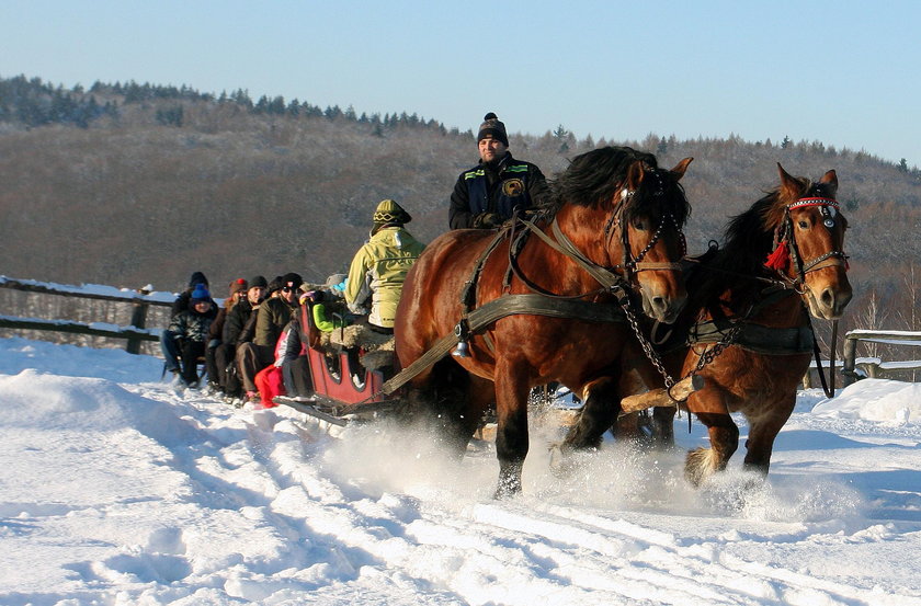 stok narciarski