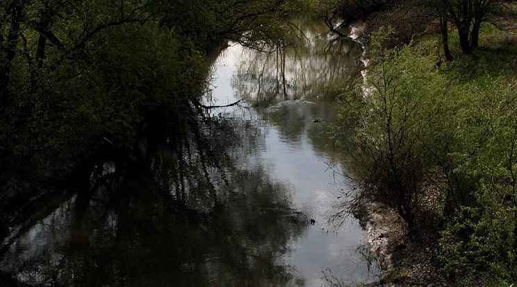 Egy 20 év körüli fiút  sodort el a Kraszna /Fotó: Wikipédia 