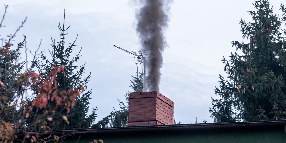 Kopciuchy powodują większość smogu