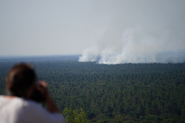 Pożar w lesie Grunewald