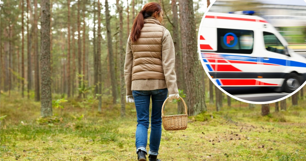 Ten grzyb to cichy zabójca. "Pozorna poprawa kończy się śmiercią"