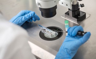 PO zapowiada obywatelski projekt w sprawie refundacji procedury in vitro