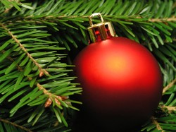 Najciekawsze dekoracje bożonarodzeniowe w tym sezonie