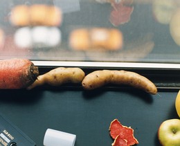 AUFMACHER-Wolfgang-Tillmans-2001 still-life-New-York web