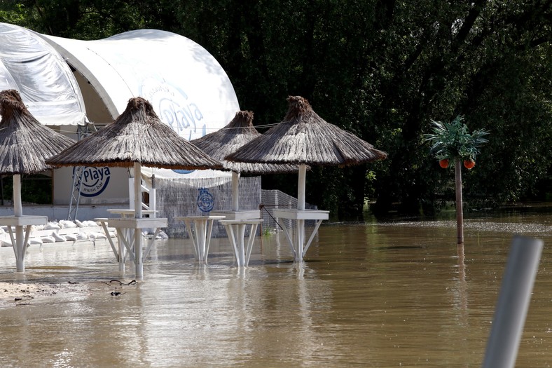 Wisła w Warszawie, 20.05.2014. Nadwiślańska plaża La Playa (cat) PAP/Tomasz Gzell