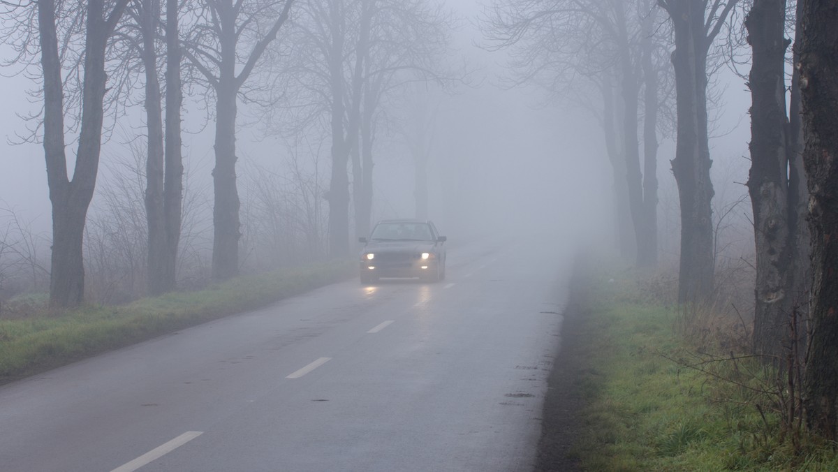 Prognoza pogody na piątek. Uwaga na mgły