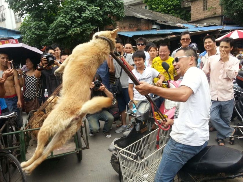 YULIN, CHINA