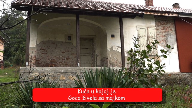 Goca Stojićević, emisija Metar moga sela 