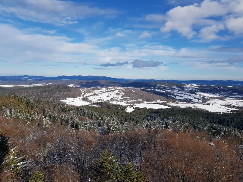 Wieża widokowa na grzbiecie Jeleniowatego w Mucznem, Bieszczady