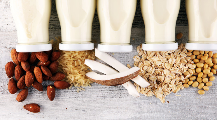 Növényi alapú italokat vagy hagyományos tejet válasszunk? / Fotó: Shutterstock