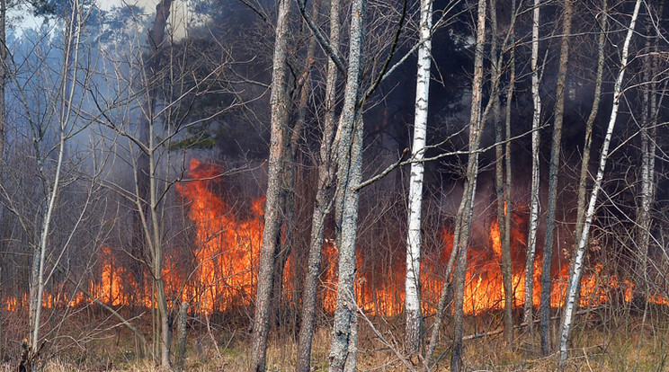 A tűzoltók eloltották a tüzet/ Fotó: Northfoto
