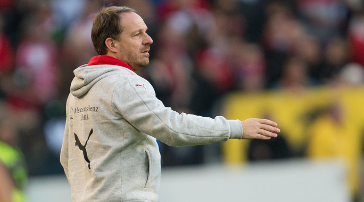 Alexander Zornige mindössze 146 napig volt a Stuttgart edzője /Fotó: AFP