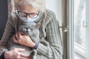 Meredek: zuhan a nyugdíjasok koronavírus elleni védettsége 