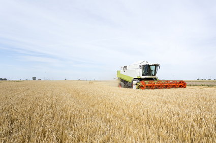 Rolnicy złożyli łącznie 332 tys. wniosków o pomoc suszową