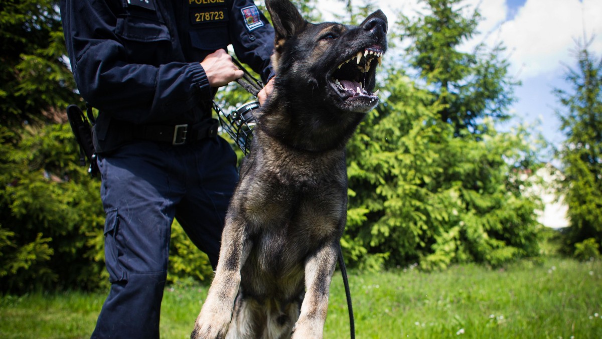 Czech Police Patrol Against Crystal Meth Smugglers