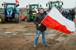 Rolnicy postawią "zielone miasteczko". Będzie długi protest w Warszwie
