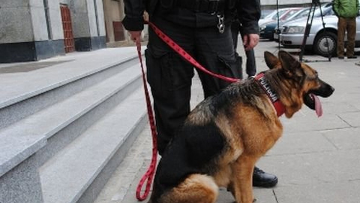 Policjanci z Łodzi zatrzymali 46-latka podejrzewanego o uprowadzenie 11-letniej Julii.