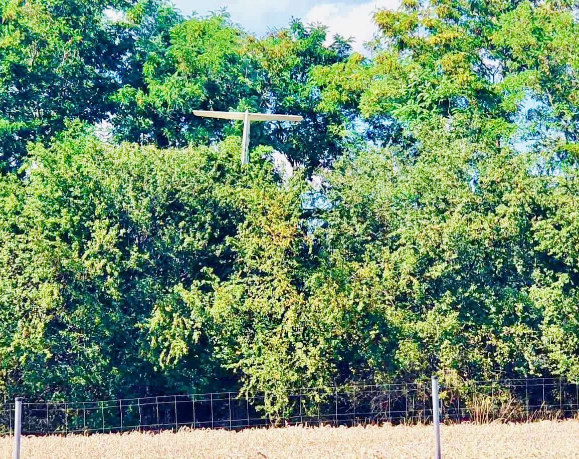 Pilot vetroňa nezvládol riadenie, pristál v korunách stromov.