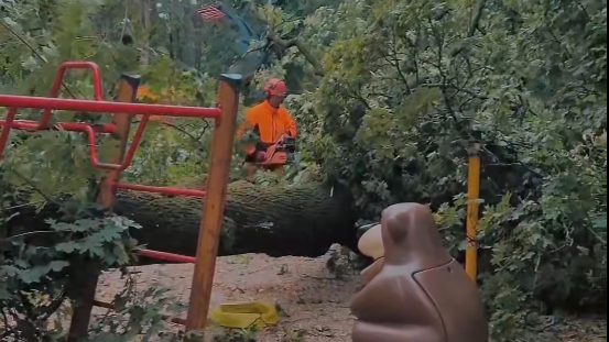 Na detské ihrisko v Piešťanoch spadol strom