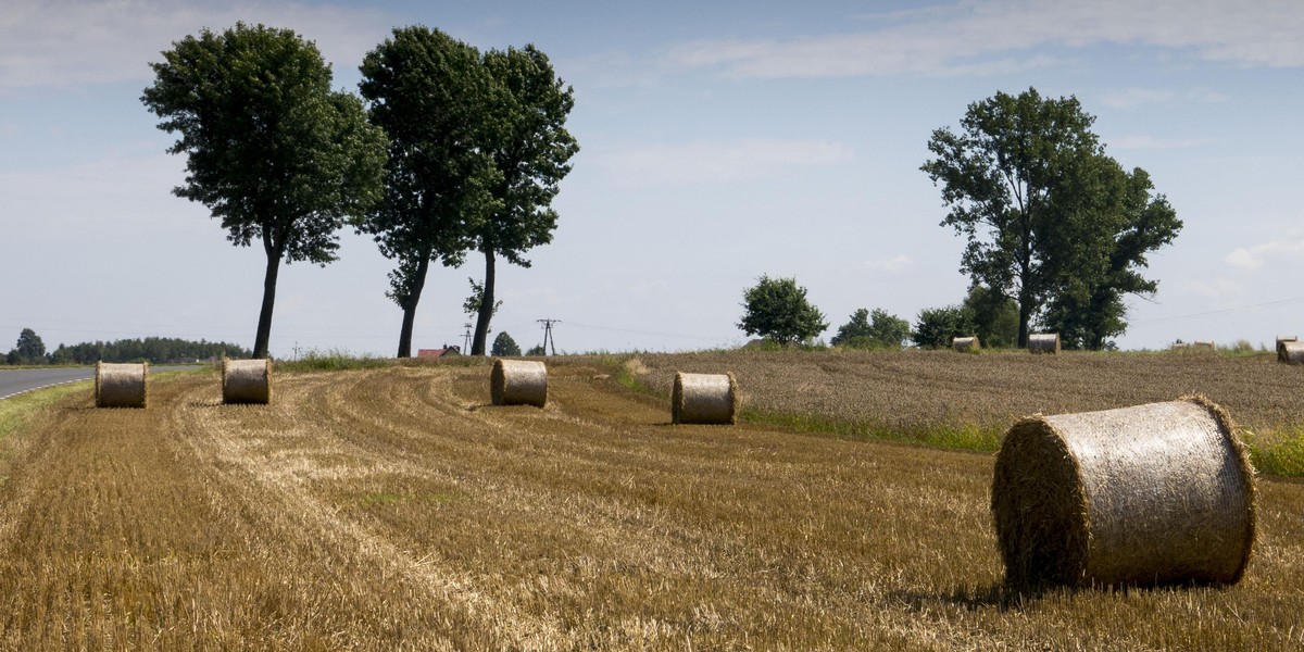 Lędziny, w trakcie prac polowych doszło do wypadku