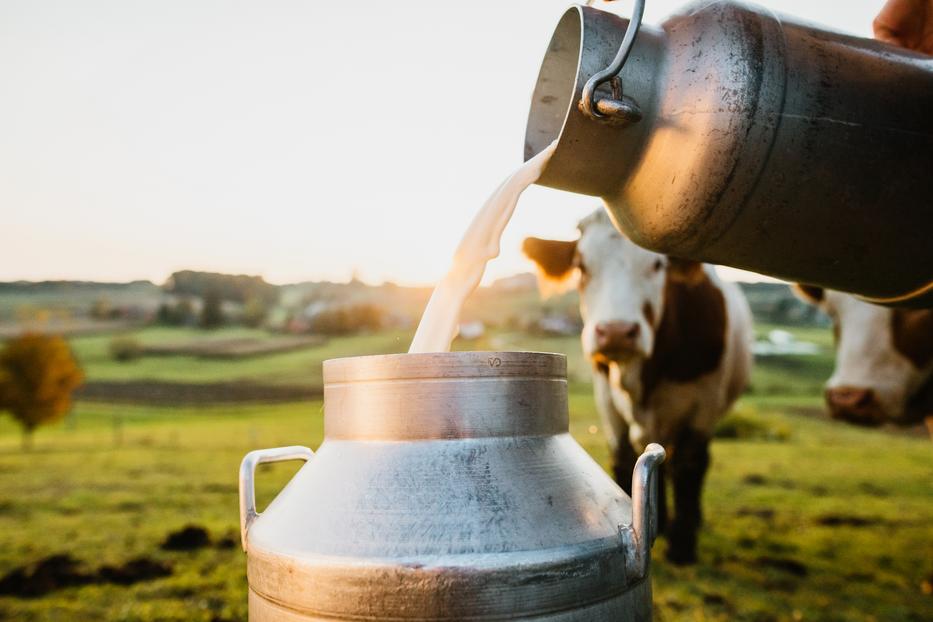 Fontos hír jött a tej áráról: nagyot változik, de mi lesz ennek a vége? fotó: Getty Images