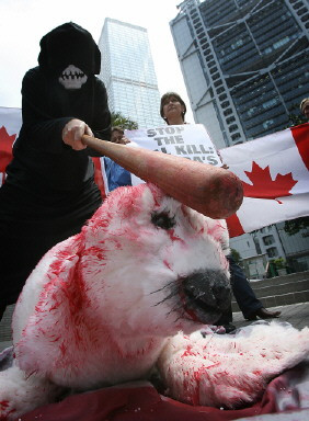 HONG KONG-CANADA-SEALS-PETA