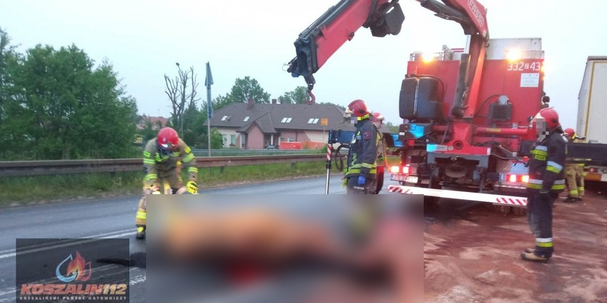 Uciekły właścicielowi i wpadły wprost pod ciężarówkę. Nocny horror w Starych Bielicach.