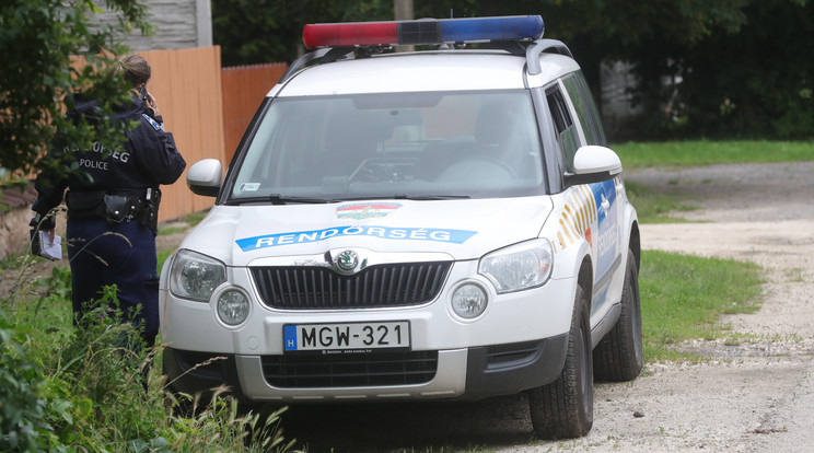 Rendőrök a boncmester pátyi ingatlanánál / Fotó: Varga Imre