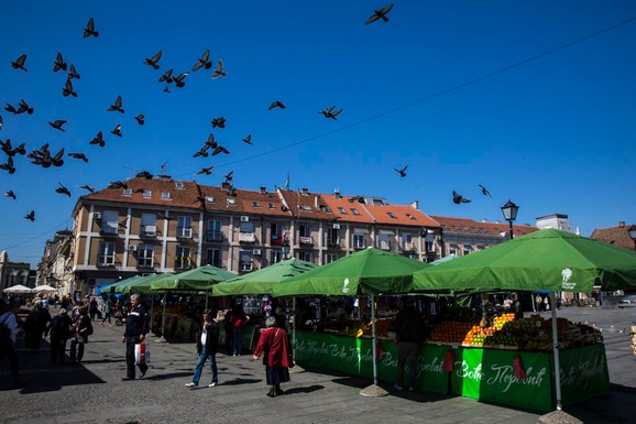 "Prolećni bazar" i "Bum market" za vikend na pijaci "Zemun", evo šta se sve nudi