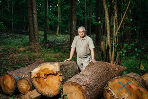 Włodzimierz Cimoszewicz