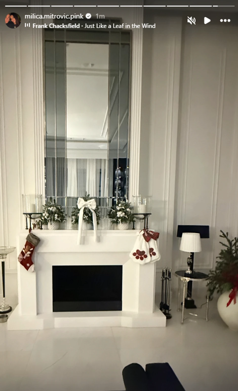 Milica Mitrović pokazala deo vile