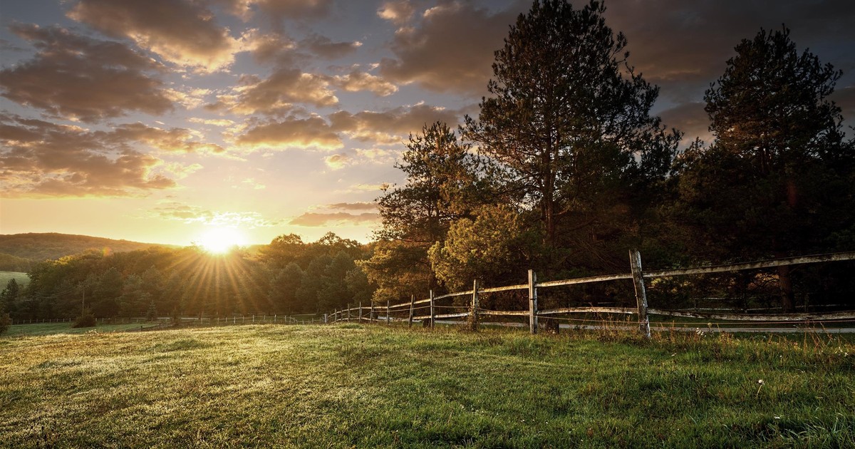 Czy listopad zaskoczy ciepłem? Babie lato nie jest wykluczone. Druga połowa miesiąca zaskoczy