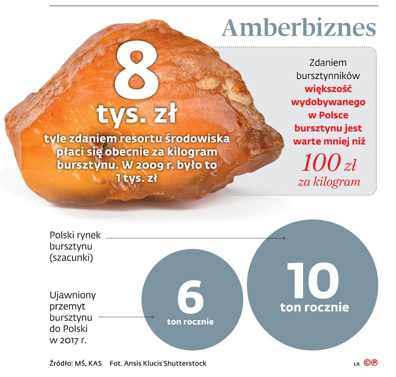 Amerbiznes