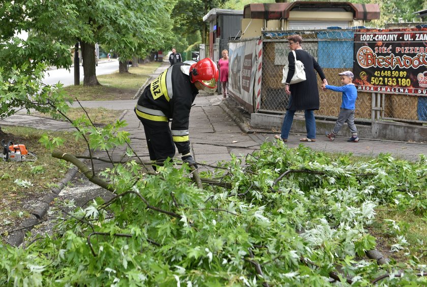 Odbiorą gałęzie złamane przez nawałnicę