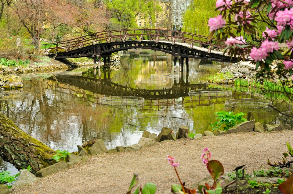 Atrakcje we Wrocławiu: Ogród Botaniczny Uniwersytetu Wrocławskiego 