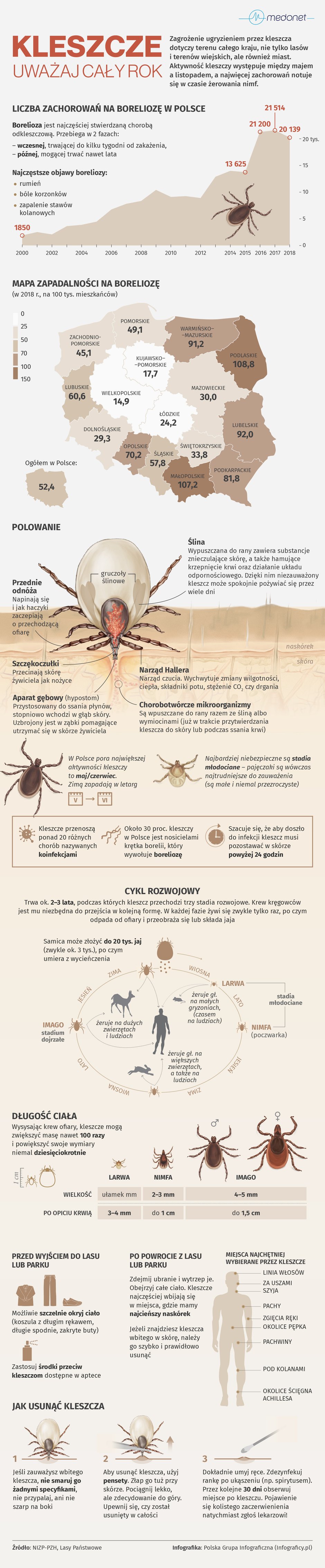 Kleszcze [INFOGRAFIKA]