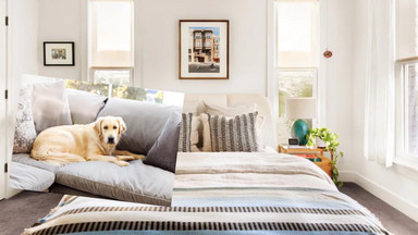 Szef Airbnb zaoferował na wynajem sypialnię w swoim apartamencie