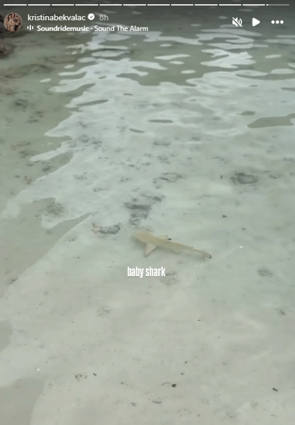 Kristina uslikala ajkulu u vodi