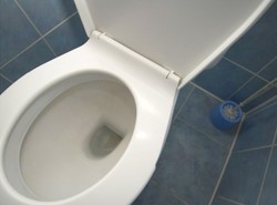 Groźne superbakterie mutują w sedesie