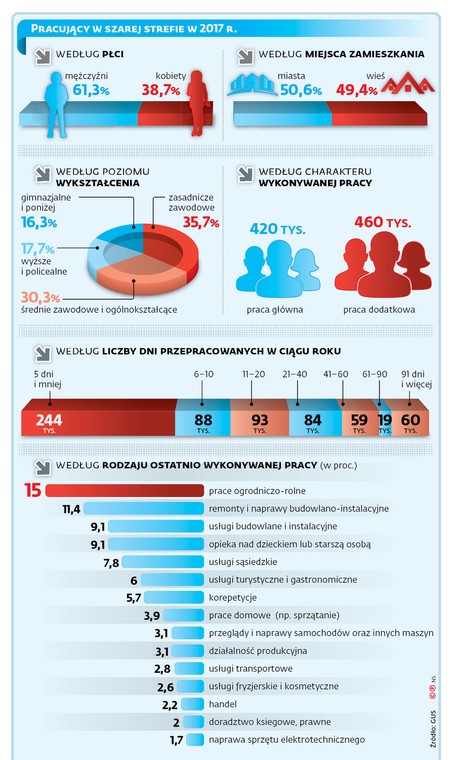 Pracujący w szarej strefie w 2017 r.