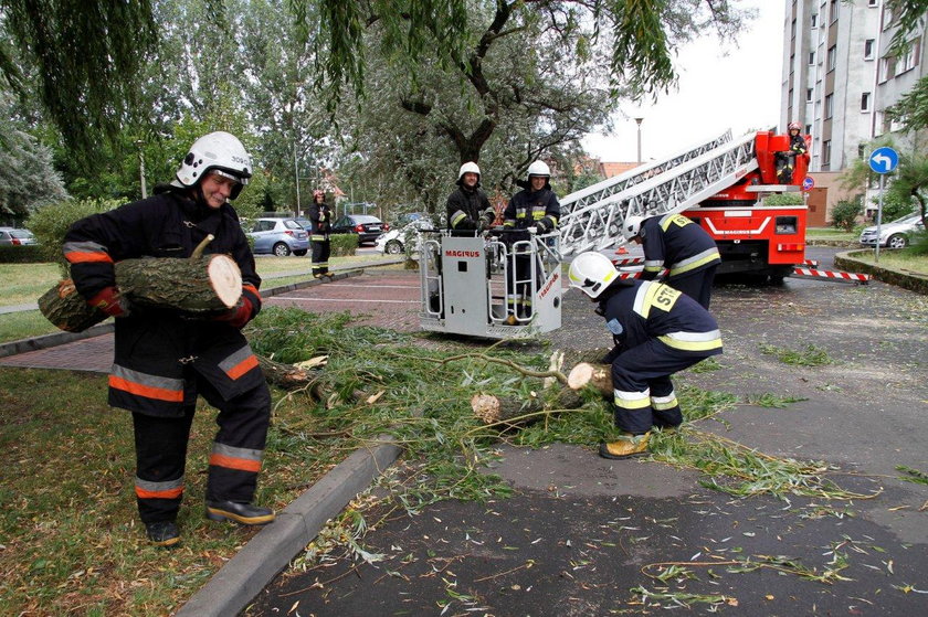 Interwencje strażaków na Opolszczyźnie