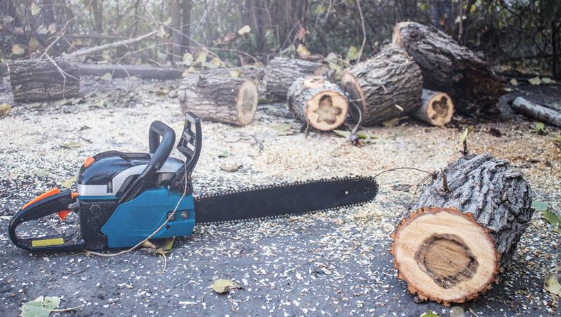 Einhell, Makita oder Bosch? Beliebte Kettensägen mit Akku im Vergleich