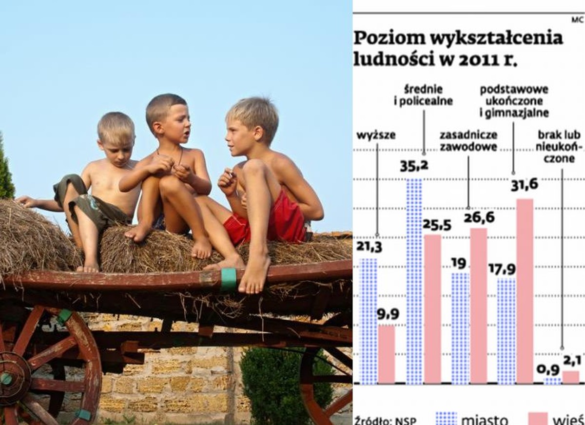 Poziom wykształcenia ludności w 2011 r., fot. ShutterStock